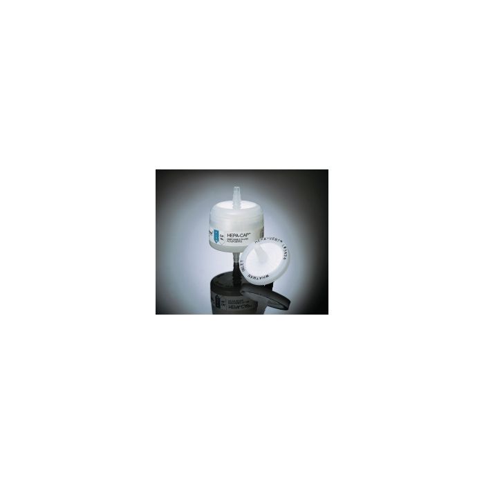 CYTIVA WHATMAN,FILTER HEPA-VENT GMF 0.3UM,1 * 10 items