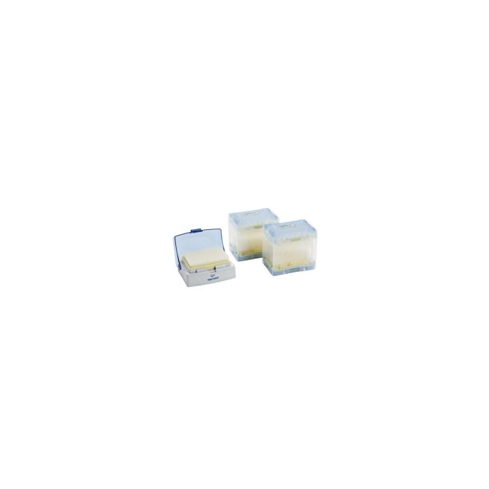 EPPENDORF,TIP 0,1-20µL EPTIPS GLP WH QUAL REL,1 * 3.840 items
