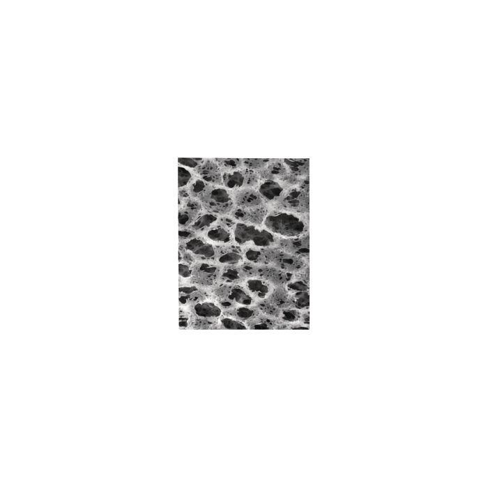 CYTIVA PALL,FILTER NYLAFLO 0.45UM 13MM,1 * 100 items