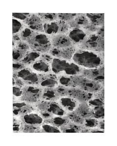 CYTIVA PALL,FILTER NYLAFLO 0.2UM 25MM,1 * 100 items