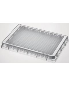 EPPENDORF MICROPLATE 384/V CLEAR BORDER WHITE PROT