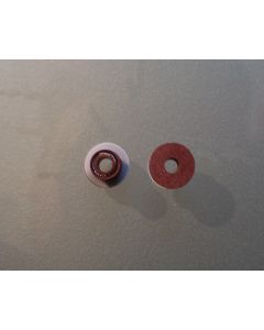 ITB PTFE Plunger Seal, Red, Waters 100 µL Head [M45/45G 515, 1525, 600E, 610, M6...